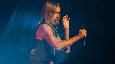  La Gran Gira de Iggy Pop: ¿El Dios del Punk Regresa a España?